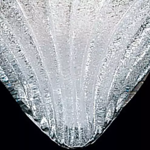 "Angela" applique en verre de Murano - 1 lumière - transparent et or