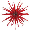 "Seduzione" lámpara colgante en cristal de Murano - 12 luces - rojo