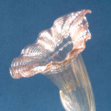 "Cornucopia" verre en cristal de Murano - transparent